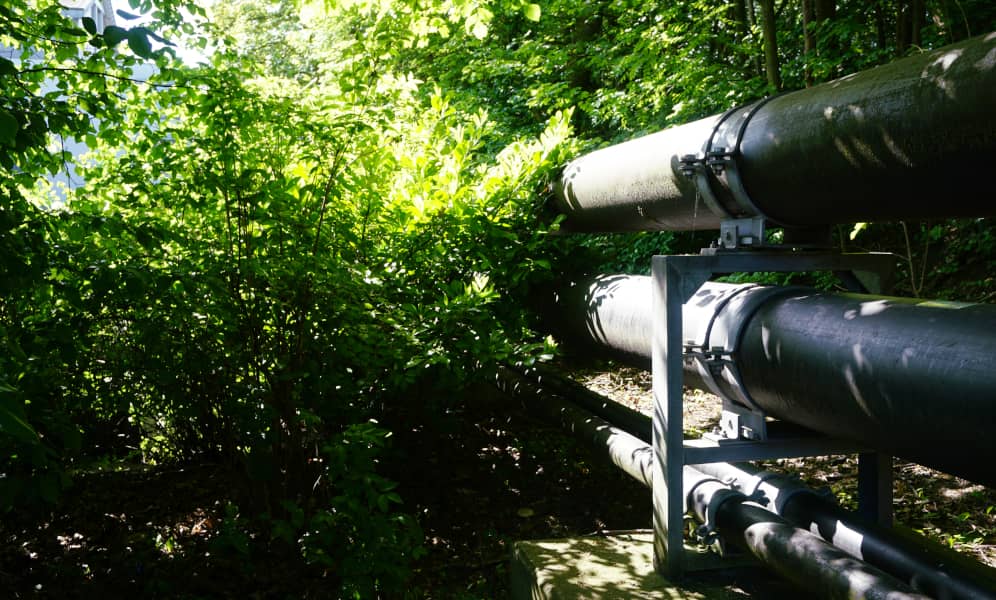 Fernwärmeleitungen verlaufen zu Büschen und Böumen