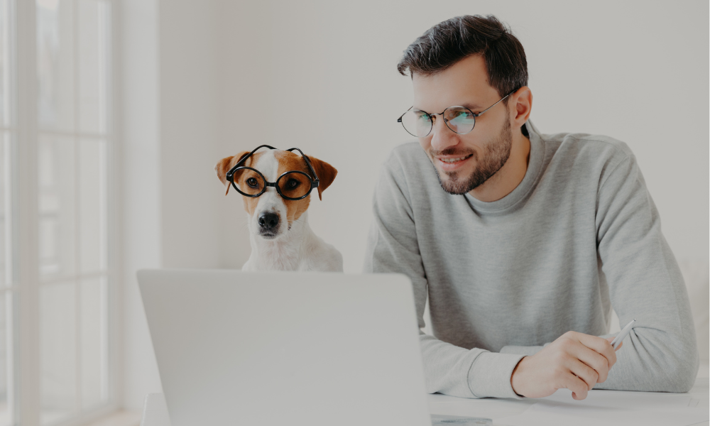 Mann und Hund mit Brillen schauen auf einen Laptop