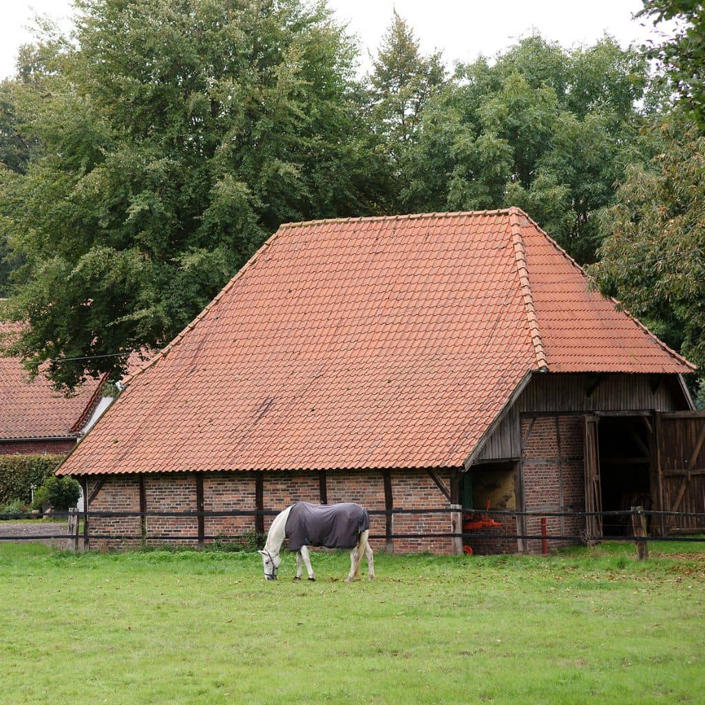 Raashof in Hünxe mit grasendem Pferd auf der Wiese